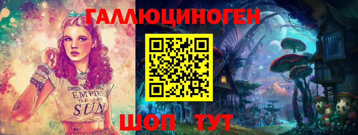 Камышлов  Псилоцибиновые грибы Cubensis  Вход с VPN 
