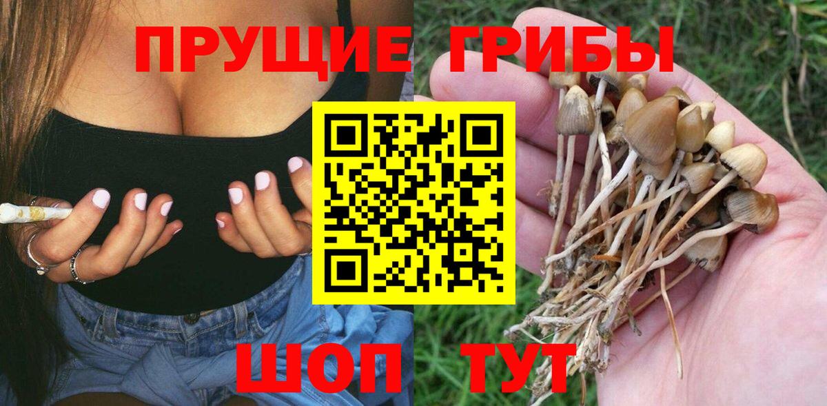 Псилоцибиновые грибы мухоморы Камышлов