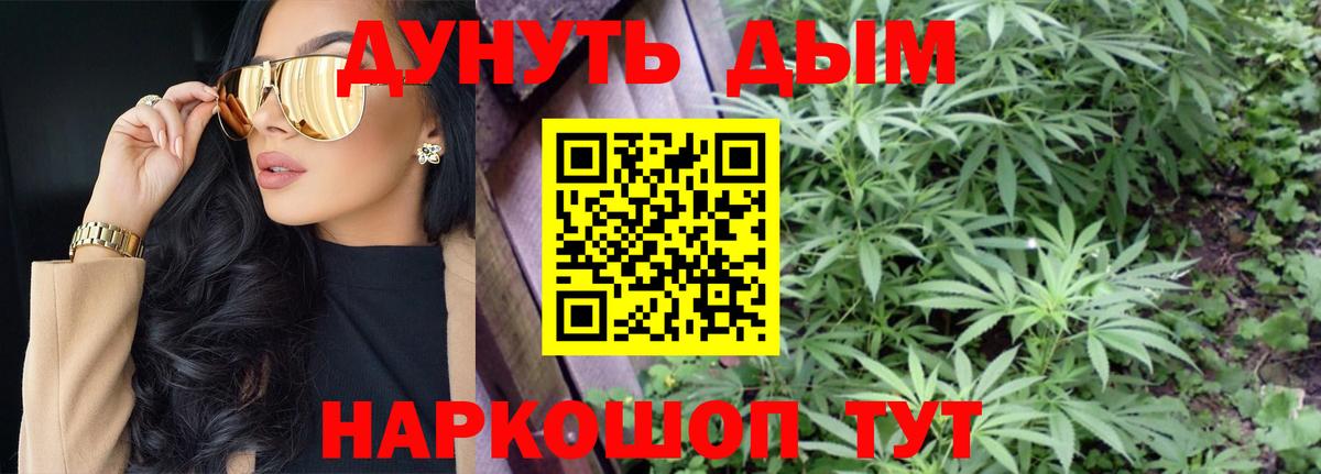 Канабис семена  Каннабис OG Kush  Камышлов  Вход с VPN  МАРИХУАНА MAZAR 